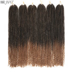 Crochet hair extension bundles with dark-to-brown ombre water-wave curls.