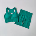 2-Piece Seamless Yoga Set — Nylon & Elastane