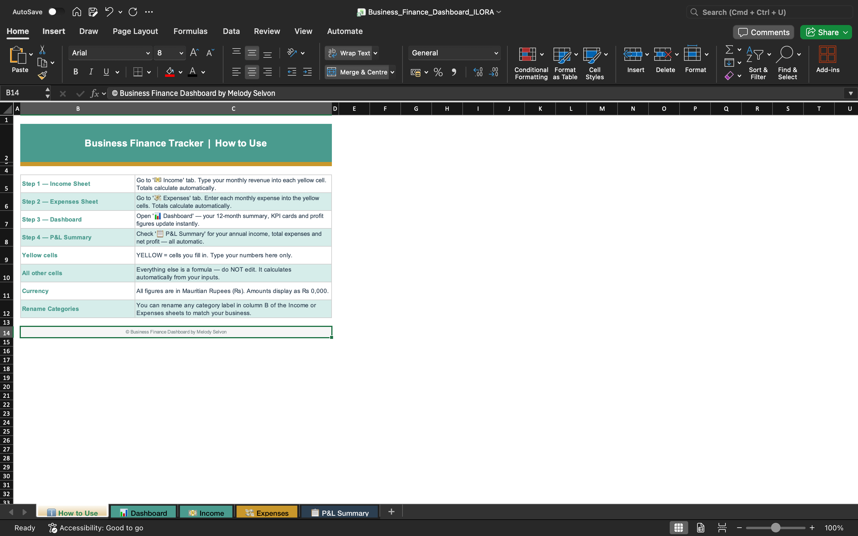 Business finance tracker instructions tab with usage steps and checklist