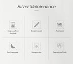 Silver maintenance guide with care icons for chemicals, water, storage, and cleaning