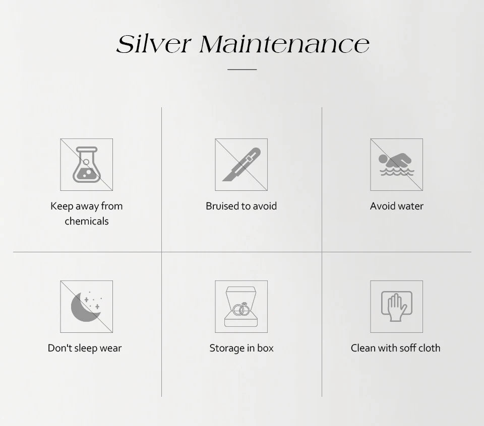 Silver maintenance guide with care icons for chemicals, water, storage, and cleaning